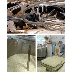 La brique de vache