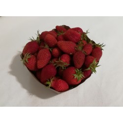 500g de fraises bio
