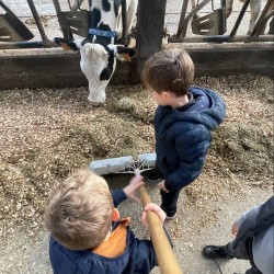 Soin de la Ferme le 25...