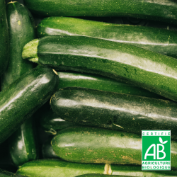 Courgettes bio (500g)