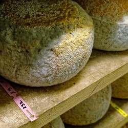 Quart Mimolette (750g)