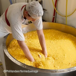 Le Jolirond, fabrication artisanale du fromage fermier avec le lait de vache 