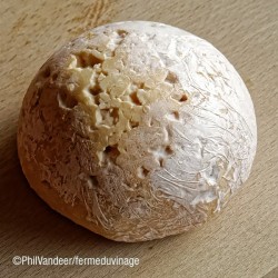 Le Petit Vinageois, fromage traditionnel confectionné avec le lait des vaches de la ferme du Vinage