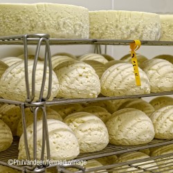 Le Petit Vinageois, fromage affiné pendant plusieurs semaines dans les caves de la ferme du Vinage