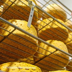 Le Jolirond, maturation des fromages fermiers pendant plusieurs semaines dans les caves de la ferme du Vinage