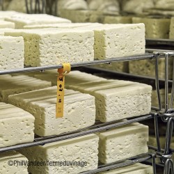 Le Carré du Vinage, affinage en cave des fromages fermiers à la ferme du Vinage, Roncq