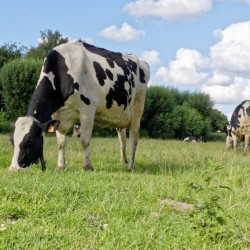 Samedi 21/06  - Visite...