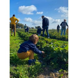 Atelier Potager mardi 22/07...