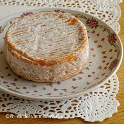 Le Jolirond, fromage fermier au lait de vache fabriqué à la ferme du Vinage
