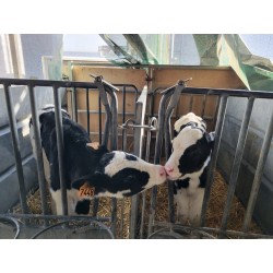28/08/2025 - Soin aux animaux