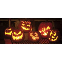 24/10 - Atelier "creuse ta...