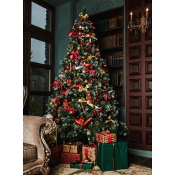 23/12 - Soin aux animaux