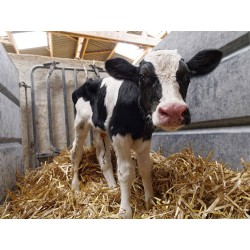 Samedi 18/04/2026 - Visite...