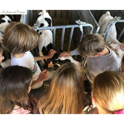 Samedi 06/06/2026 - Visite...