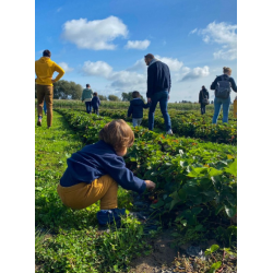 Atelier Potager 06/06