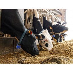 Soin des animaux Jeudi 02 Novembre