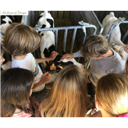 Visite guidée de la ferme...