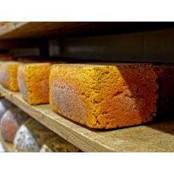 MIMOLETTE PARIS ROUBAIX