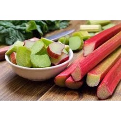 RHUBARBE BIO 500G