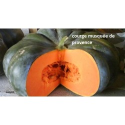 500g de Courge musquée de...